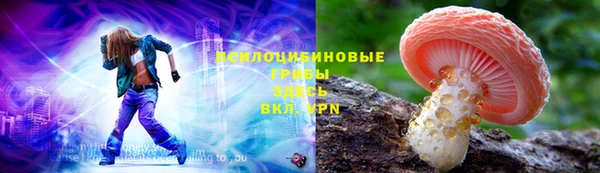 дурь Кодинск