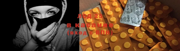 PSILOCYBIN Козельск