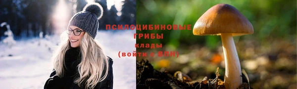 первитин Козловка