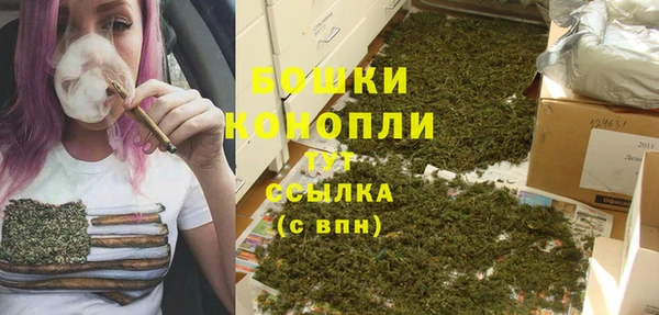 PSILOCYBIN Козельск